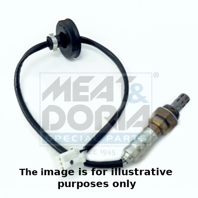 Oxygen Sensor
